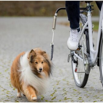 Fiets set - kleine en middelgrote honden