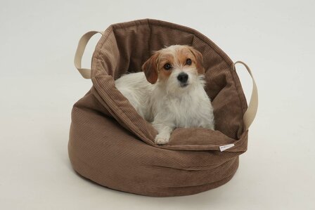 DOGS in the CITY - Toffee Basket