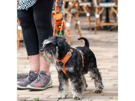 Dog Copenhagen - Comfort Walk Air Oranje 3.0