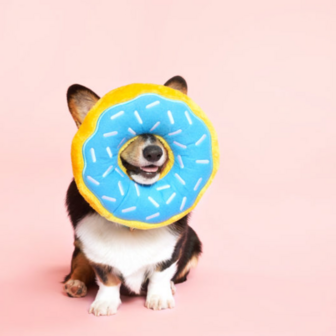 ZippyPaws - Jumbo Blueberry Donut