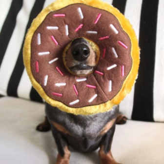 ZippyPaws - Jumbo Chocolate Donut